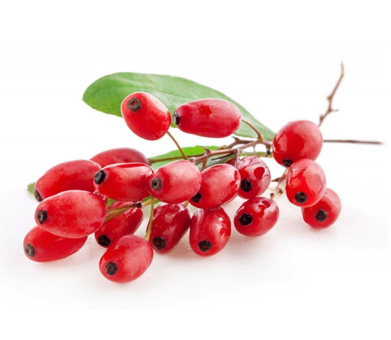 کنسانتره زرشک